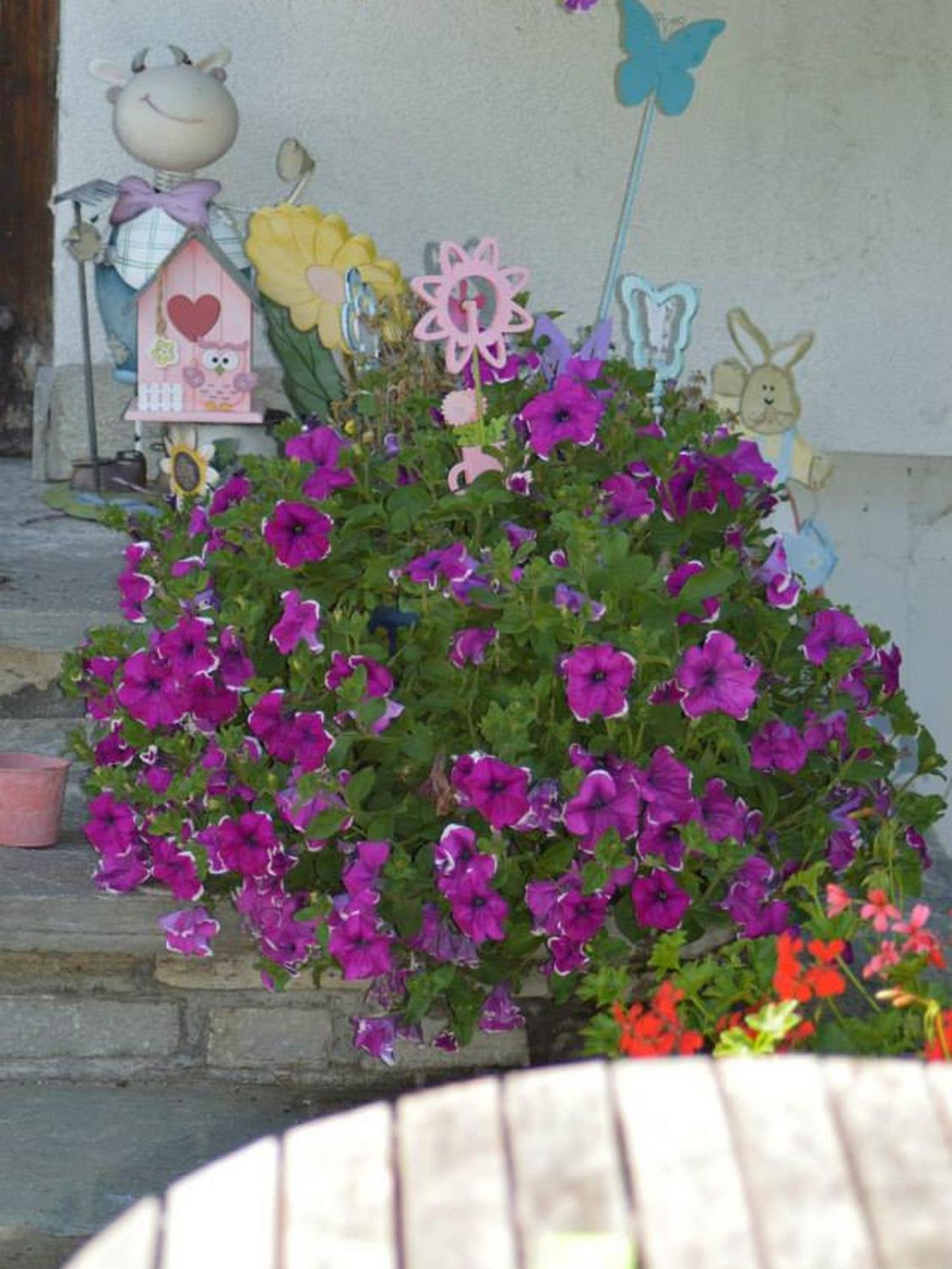 Haus Susanne Radstadt Quarto foto